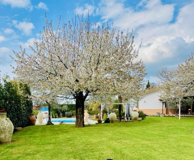 Villa "Casa Al Chiazzullo" Mirabella Eclano Dış mekan fotoğraf