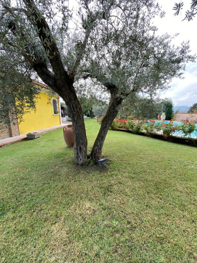 Villa "Casa Al Chiazzullo" Mirabella Eclano Dış mekan fotoğraf